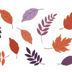 Conmemorativos del Mes